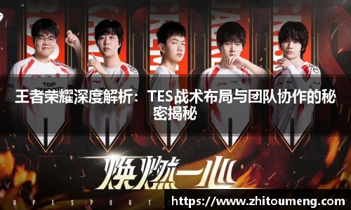 王者荣耀深度解析：TES战术布局与团队协作的秘密揭秘